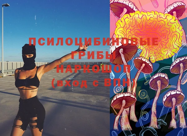 PSILOCYBIN Нефтекумск