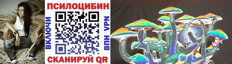 Галлюциногенные грибы Psilocybine cubensis  Заполярный 