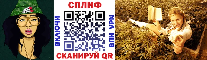 Конопля VHQ Заполярный